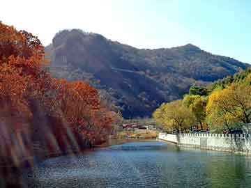 新澳天天开奖资料大全旅游团，洗发水生产配方